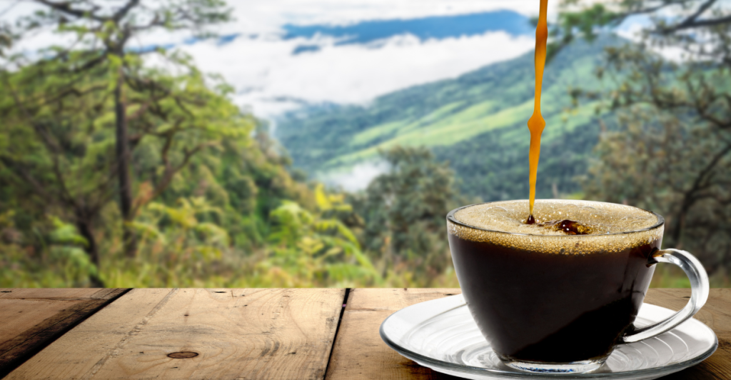 tipos de café