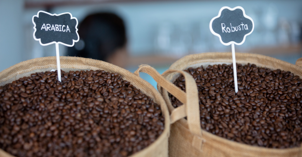 cafe arabica vs. robusta