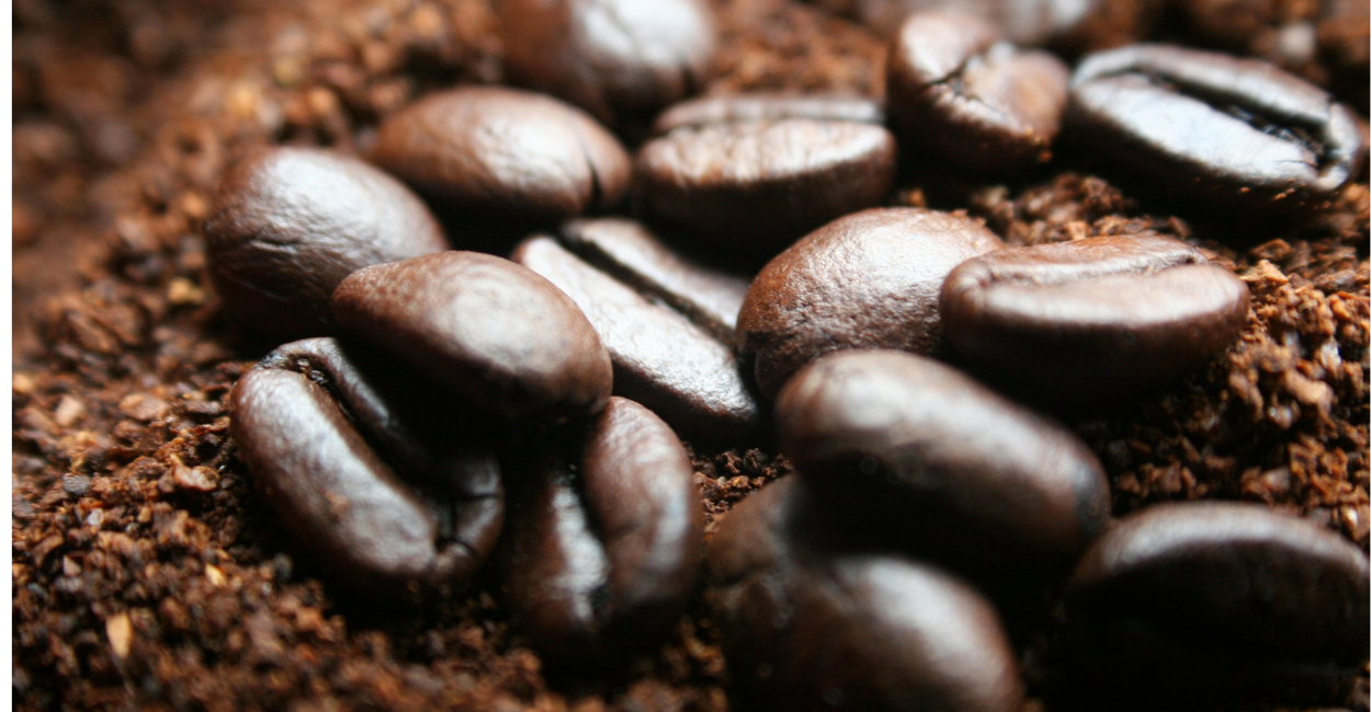 melhor metodo para-preparar Cafe Robusta