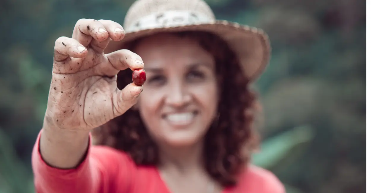 Café com Menos Cafeína: Variedades Naturais e Dicas para Escolher