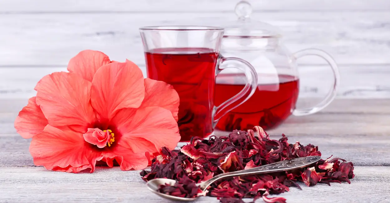 chá de hibisco benefícios
