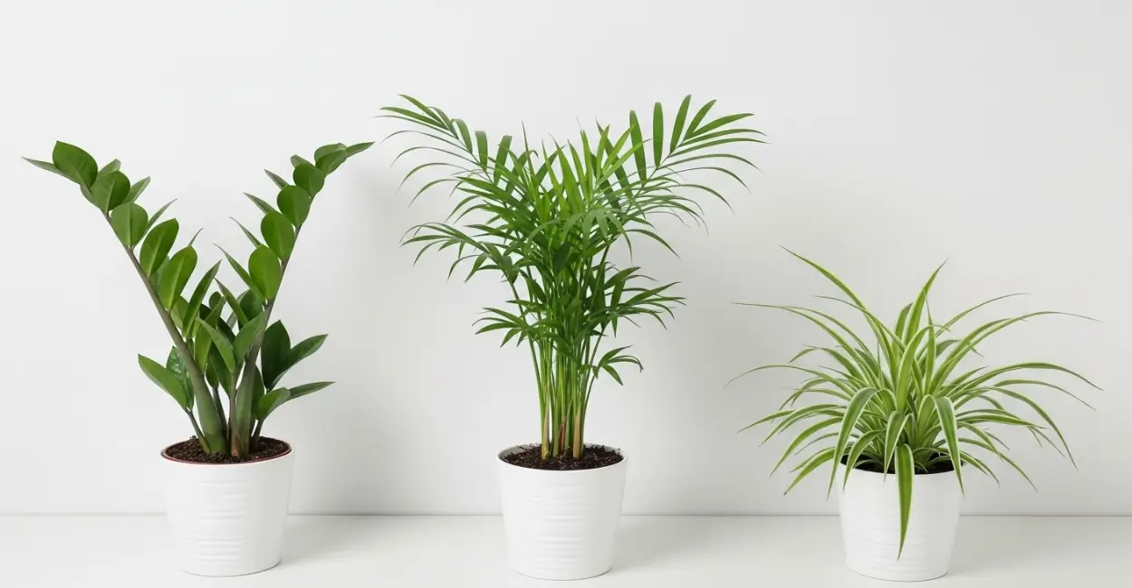 Plantas ideais para apartamentos e ambientes pequenos