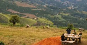 Gastronomia e experiência na rota do Café do Caparaó Mineiro