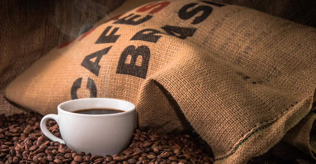Faturamento do café tem crescimento recorde