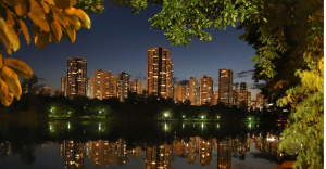Londrina é a capital mundial do café