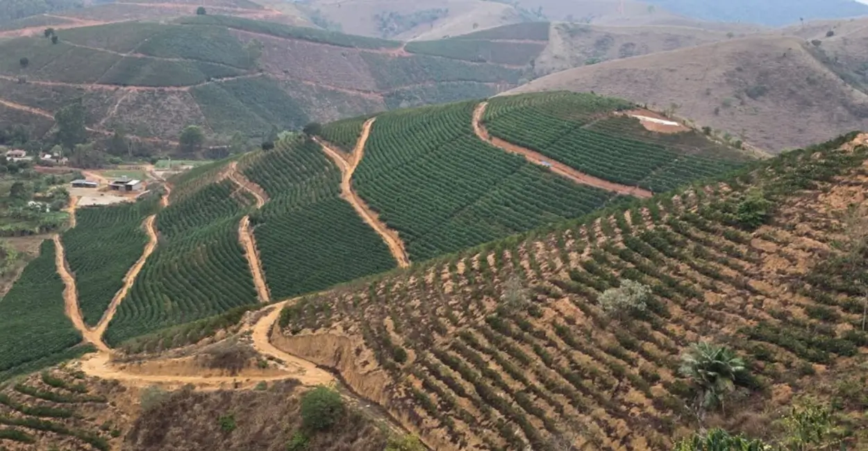 Experiência com irrigação na cafeicultura capixaba é sucesso