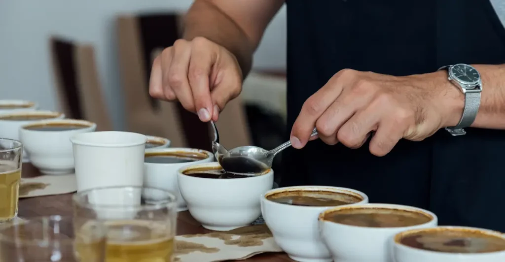 Como escolher cafés de alta qualidade